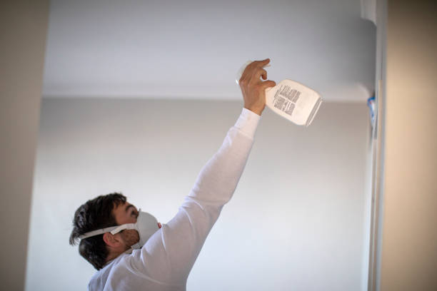 Best Certified Mold Removal  in East Lansing, MI