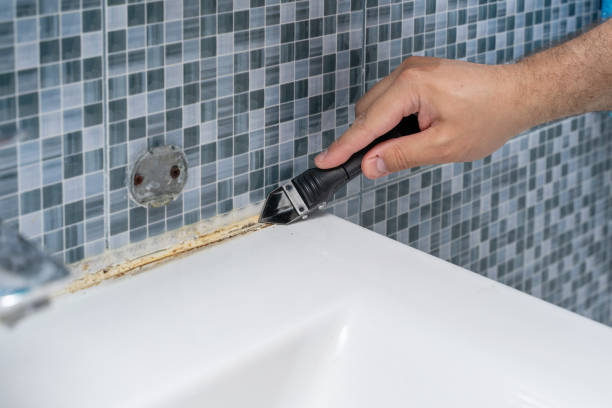 Certified Mold Removal in East Lansing, MI